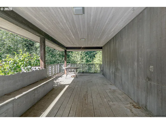a view of a yard with plants and a bench