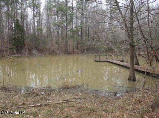 55 Scheffel Road Natchez, MS 39120 - Photo 5 of 18 IMG_7486