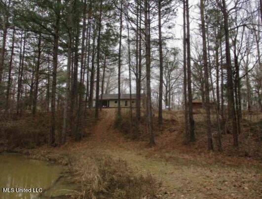 55 Scheffel Road Natchez, MS 39120 - Photo 6 of 18 IMG_7487