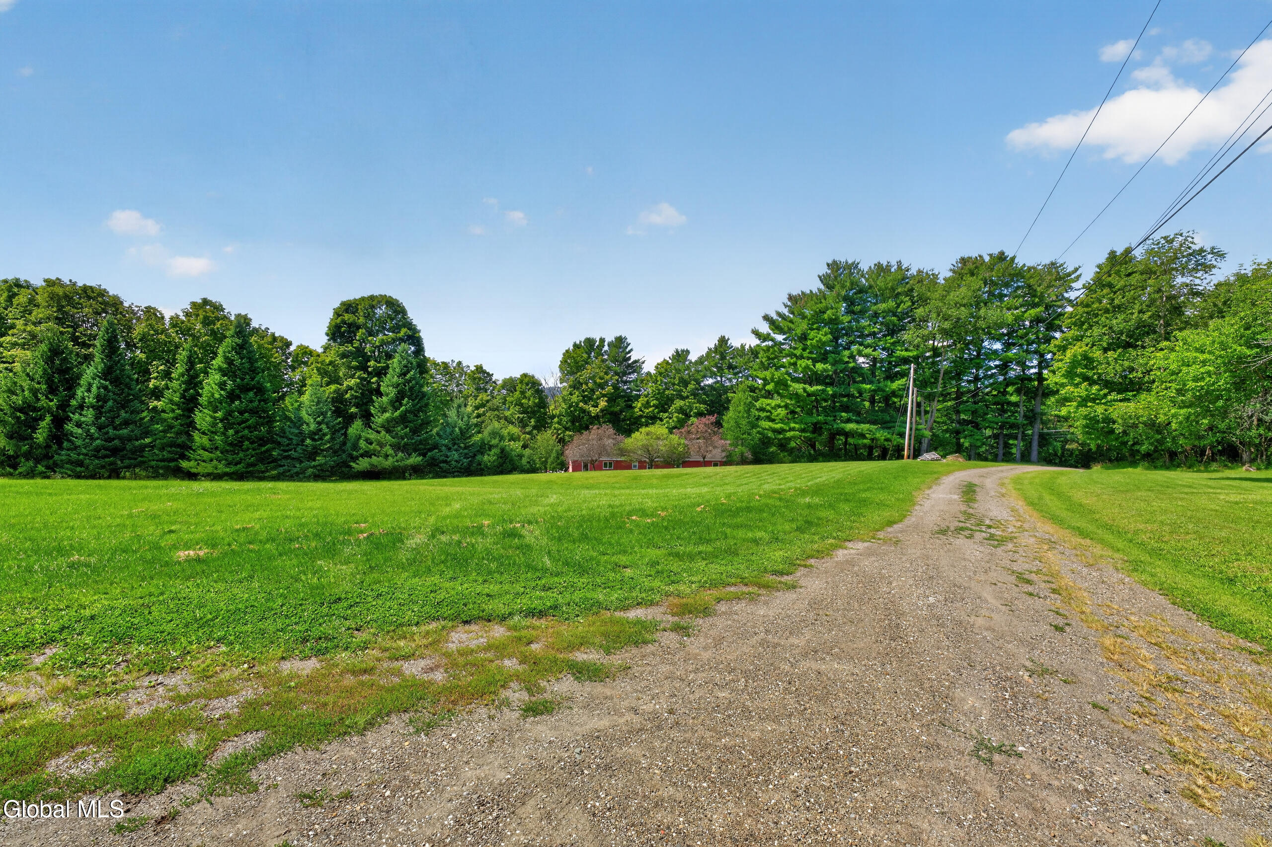 94 Cushman Road Pittstown, NY 12121 - Photo 43 of 50 Yard 4