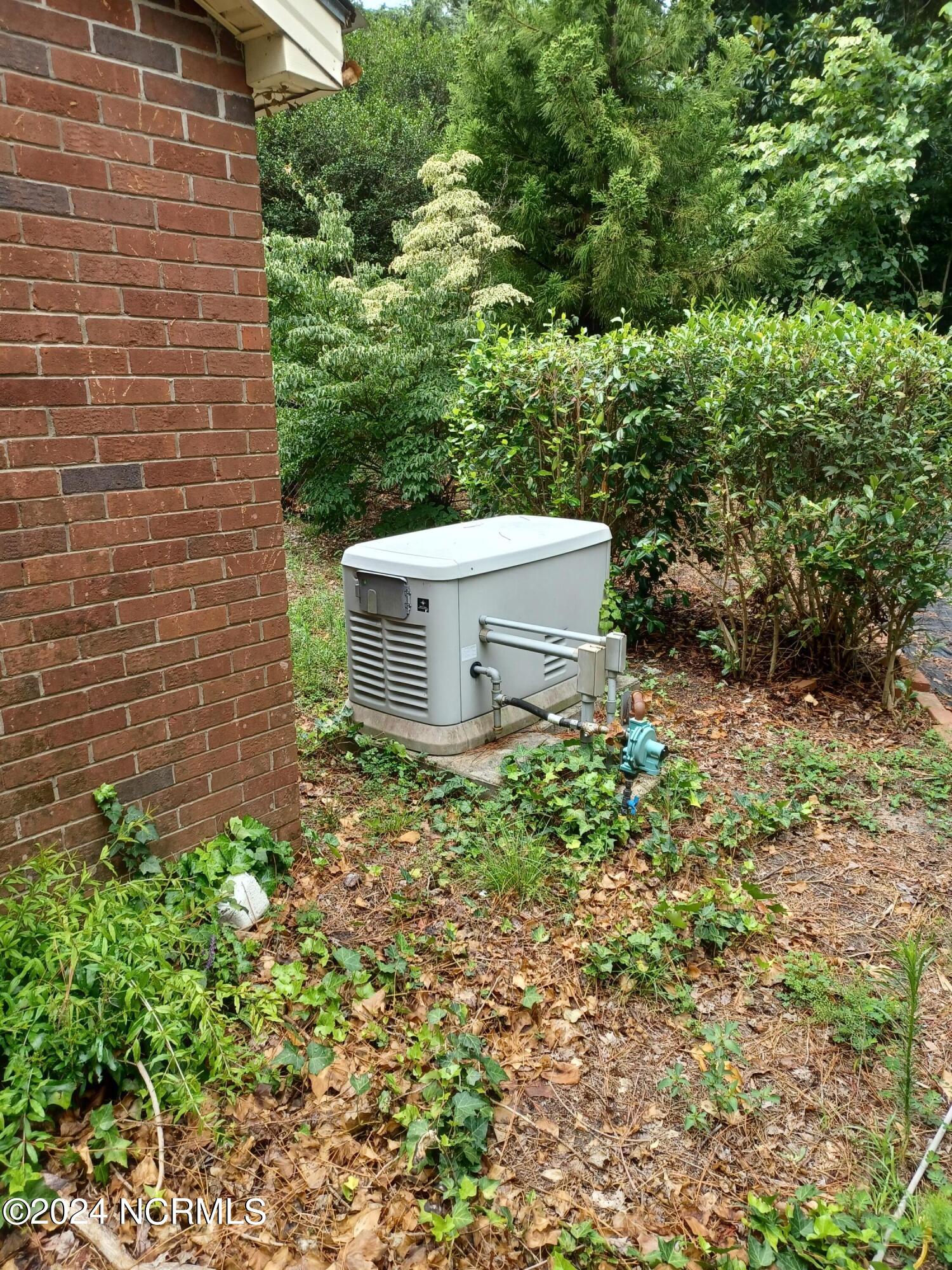115 Bill Stroud Road Kinston, NC 28504 - Photo 20 of 26 Generator