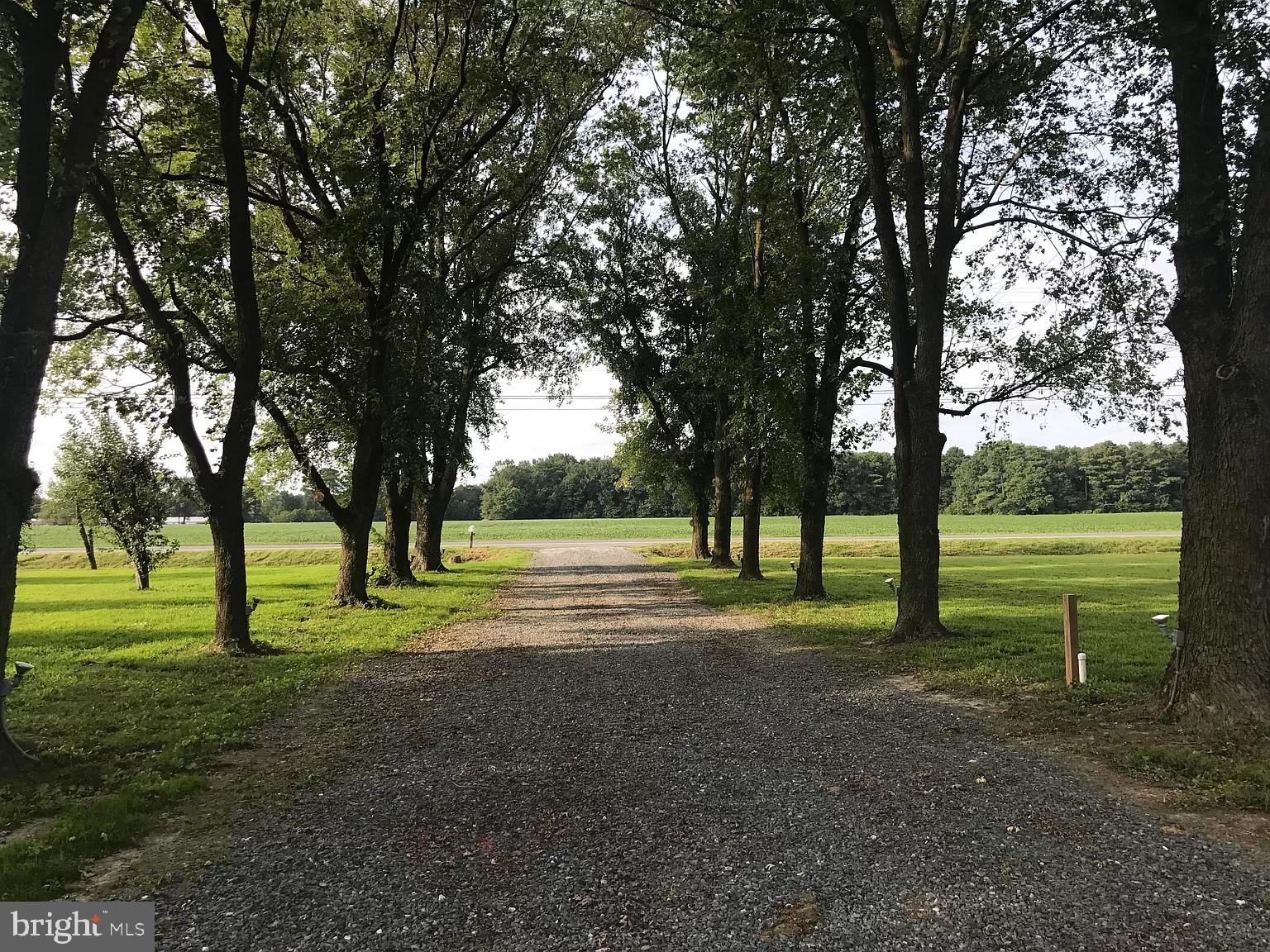 31275 East Line Road Delmar, MD 21875 - Photo 4 of 41 a view of field with trees in the background