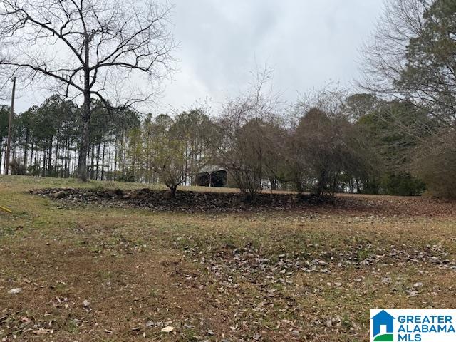 2611 Oaks Chapel Road Goodwater, AL 35072 - Photo 2 of 10