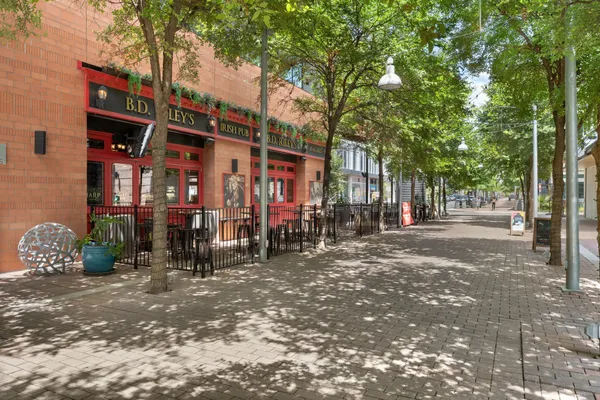 a view of road with large trees
