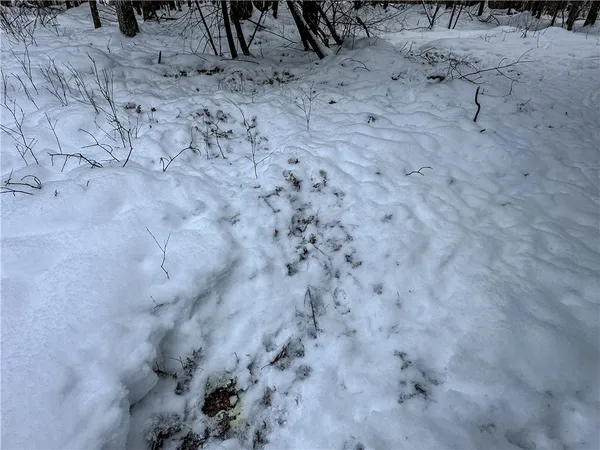 $99,900 | Buffalo Street, Wayland, NY 14572