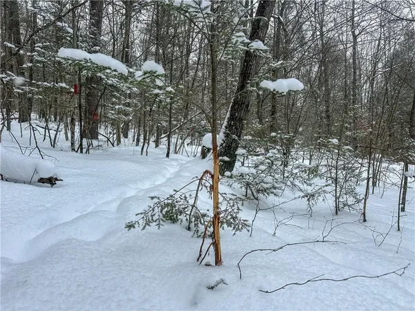 $99,900 | Buffalo Street, Wayland, NY 14572