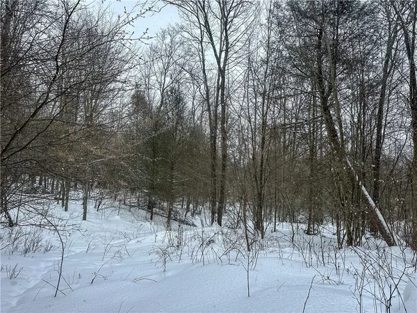$99,900 | Buffalo Street, Wayland, NY 14572