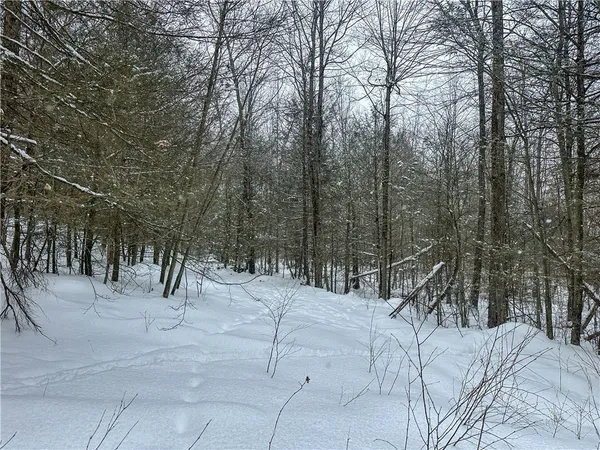$99,900 | Buffalo Street, Wayland, NY 14572