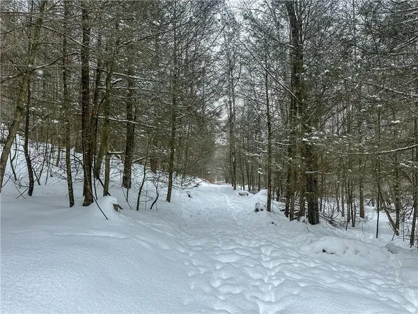 $99,900 | Buffalo Street, Wayland, NY 14572