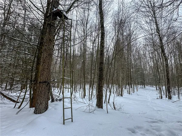 $99,900 | Buffalo Street, Wayland, NY 14572