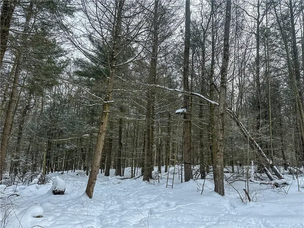 $99,900 | Buffalo Street, Wayland, NY 14572