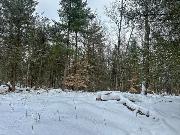 $99,900 | Buffalo Street, Wayland, NY 14572