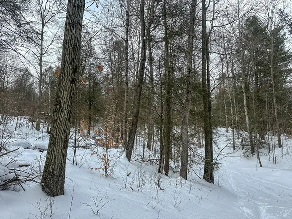 $99,900 | Buffalo Street, Wayland, NY 14572