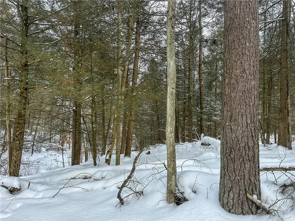 $99,900 | Buffalo Street, Wayland, NY 14572