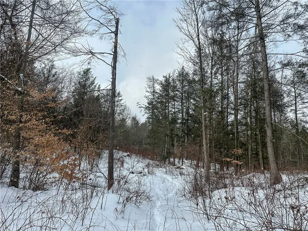 $99,900 | Buffalo Street, Wayland, NY 14572