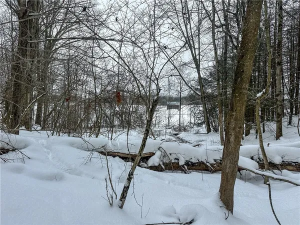 $99,900 | Buffalo Street, Wayland, NY 14572