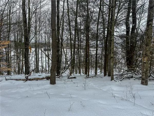$99,900 | Buffalo Street, Wayland, NY 14572