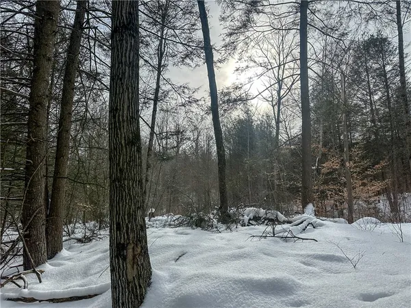 $99,900 | Buffalo Street, Wayland, NY 14572