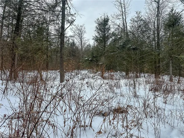 $99,900 | Buffalo Street, Wayland, NY 14572