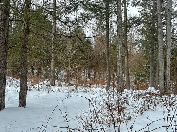 $99,900 | Buffalo Street, Wayland, NY 14572