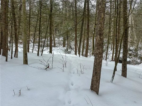 $99,900 | Buffalo Street, Wayland, NY 14572