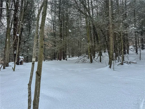 $99,900 | Buffalo Street, Wayland, NY 14572