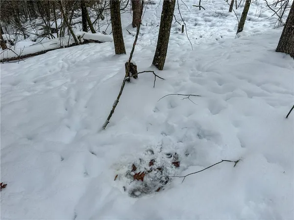 $99,900 | Buffalo Street, Wayland, NY 14572