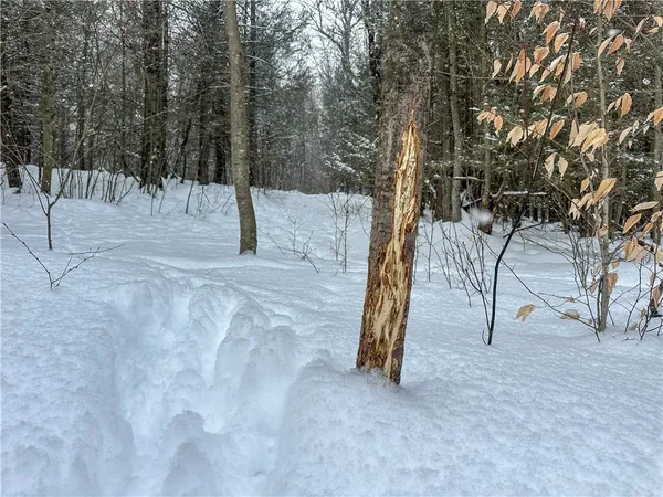 $99,900 | Buffalo Street, Wayland, NY 14572