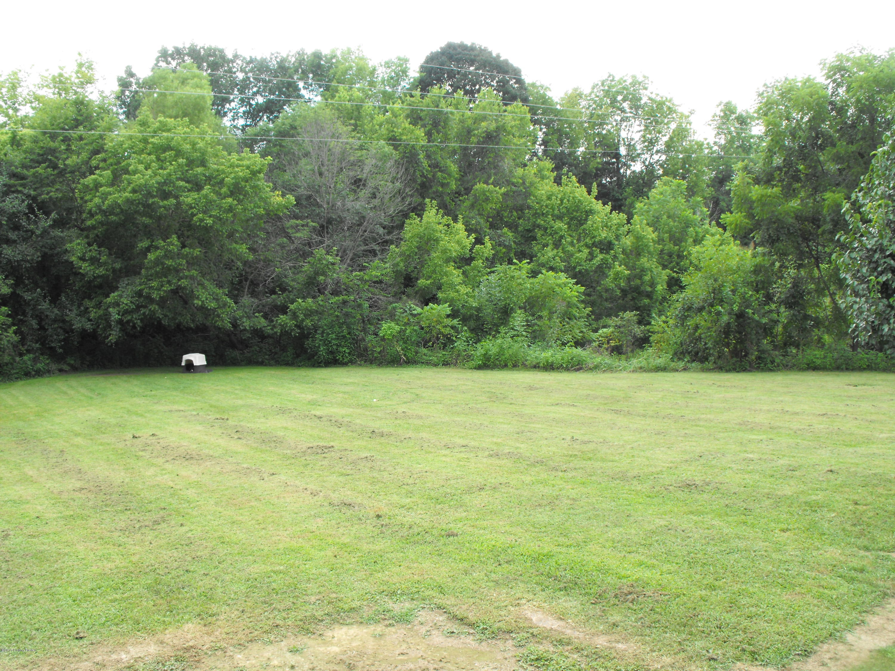 3363 Lagrange Road Smithfield, KY 40068 - Photo 16 of 19 rear yard 2