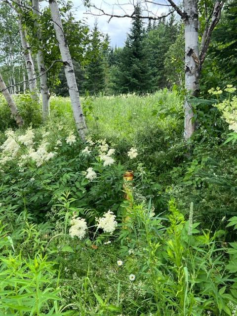 3109 Aroostook Road Eagle Lake, ME 04739 - Photo 11 of 16 71070852410__9E477428-C174-4DDE-88D5-DB6