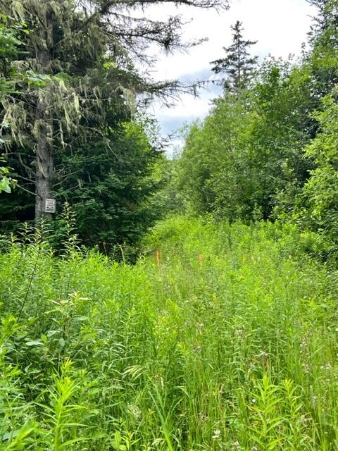 3109 Aroostook Road Eagle Lake, ME 04739 - Photo 12 of 16 71070855151__1D15CEFB-49D6-4AE7-B572-516