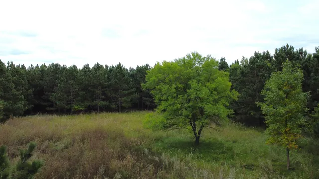 $94,999 | 49928 Co Highway 54, New York Mills, MN 56567