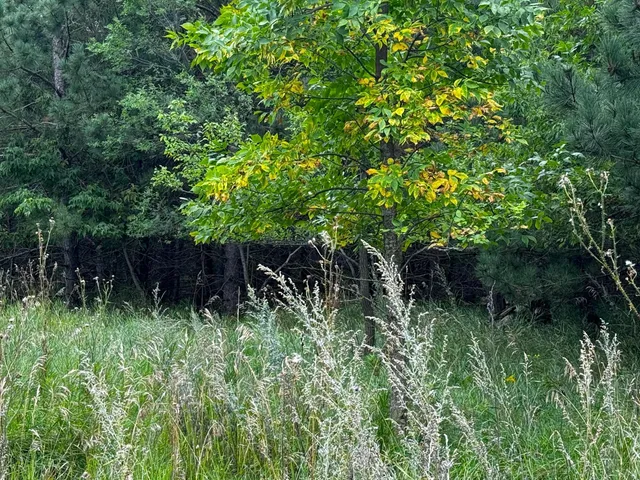 $94,999 | 49928 Co Highway 54, New York Mills, MN 56567