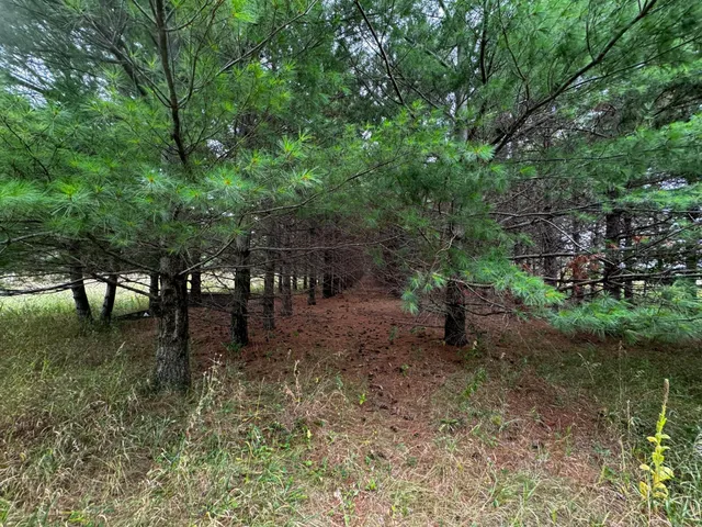 $94,999 | 49928 Co Highway 54, New York Mills, MN 56567