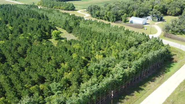 $94,999 | 49928 Co Highway 54, New York Mills, MN 56567