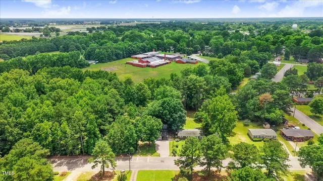 a view of a garden with a lake