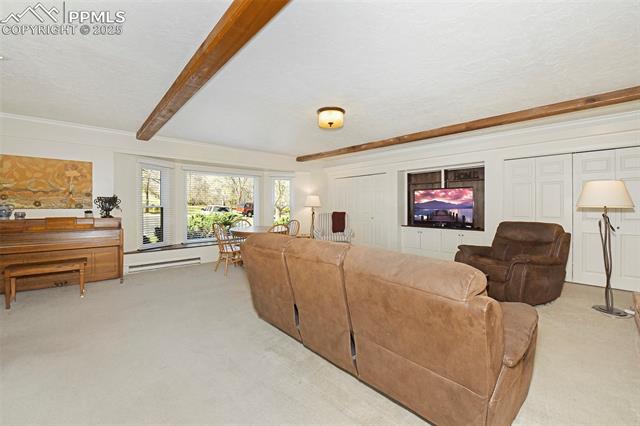 2421 Strickler Road Colorado Springs, CO 80906 - Photo 24 of 44 Living room featuring a textured ceiling, beamed ceiling, and carpet floors