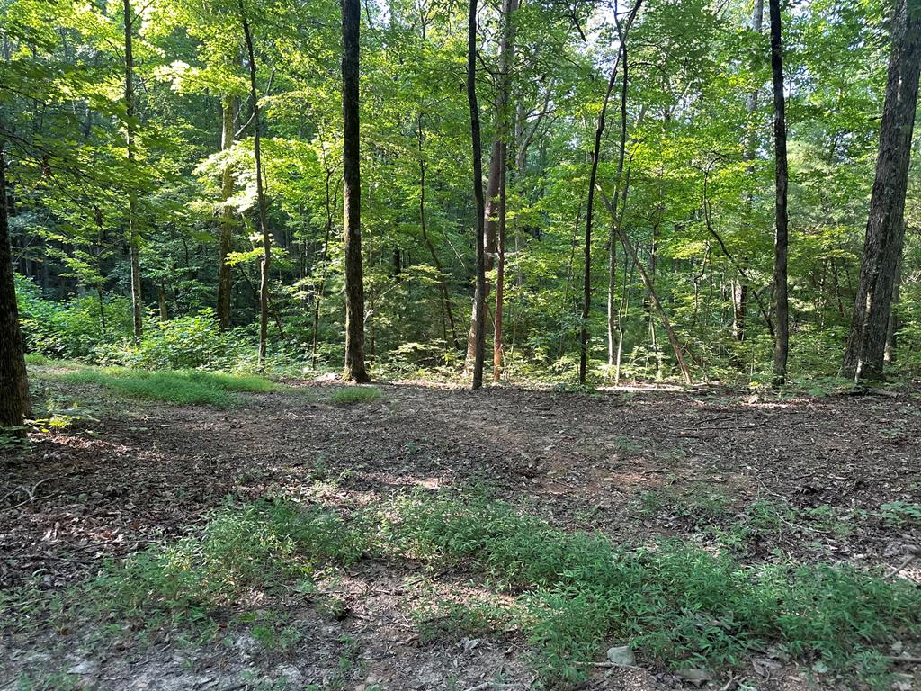 27 R Tanager Trail Ellijay, GA 30536 - Photo 53 of 60 Homesite location