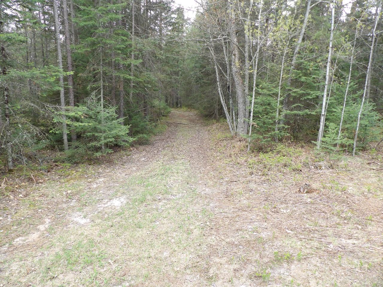 37-ac On Pineaire Drive Rhinelander, WI 54501 - Photo 10 of 21 Gallery Image 10