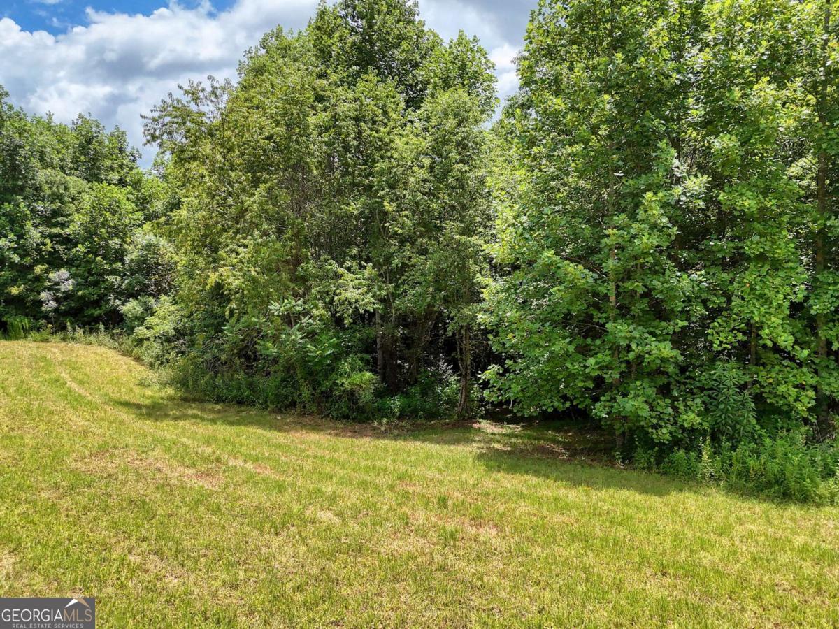 89 Simmons Ridge Mineral Bluff, GA 30559 - Photo 65 of 73