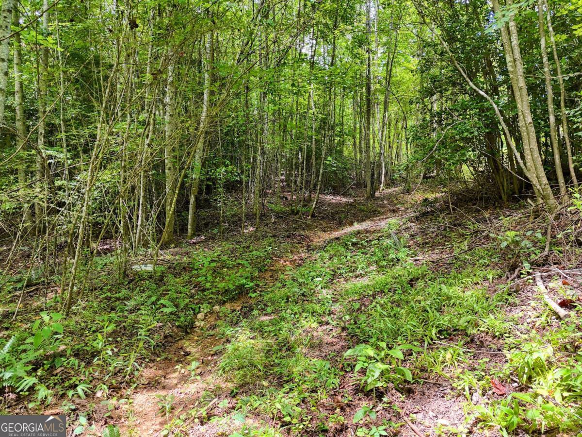 89 Simmons Ridge Mineral Bluff, GA 30559 - Photo 66 of 73