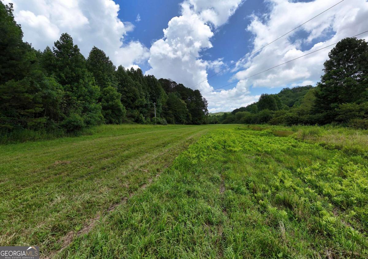 89 Simmons Ridge Mineral Bluff, GA 30559 - Photo 68 of 73