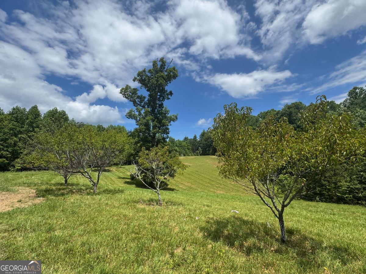 89 Simmons Ridge Mineral Bluff, GA 30559 - Photo 7 of 73