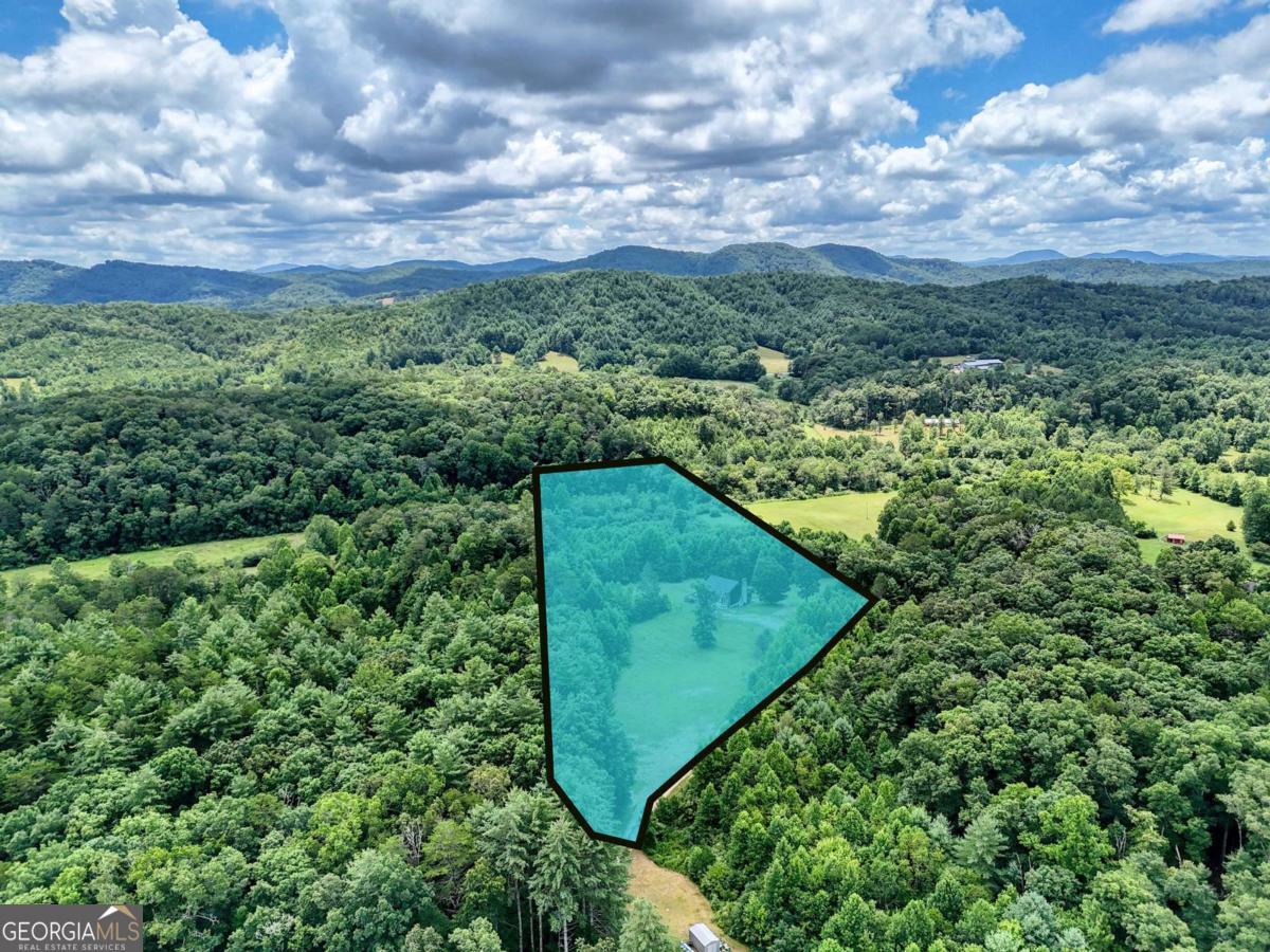 89 Simmons Ridge Mineral Bluff, GA 30559 - Photo 71 of 73