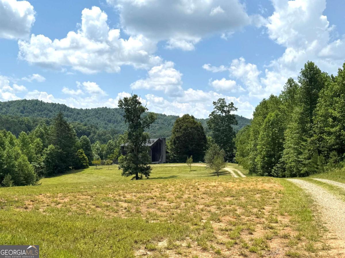89 Simmons Ridge Mineral Bluff, GA 30559 - Photo 10 of 73