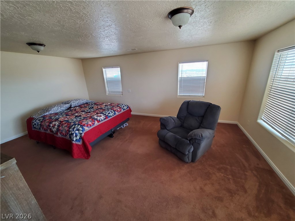 5272 Truman Lane Caliente, NV 89008 - Photo 12 of 43 Carpeted bedroom featuring a textured ceiling, multiple windows, and baseboards