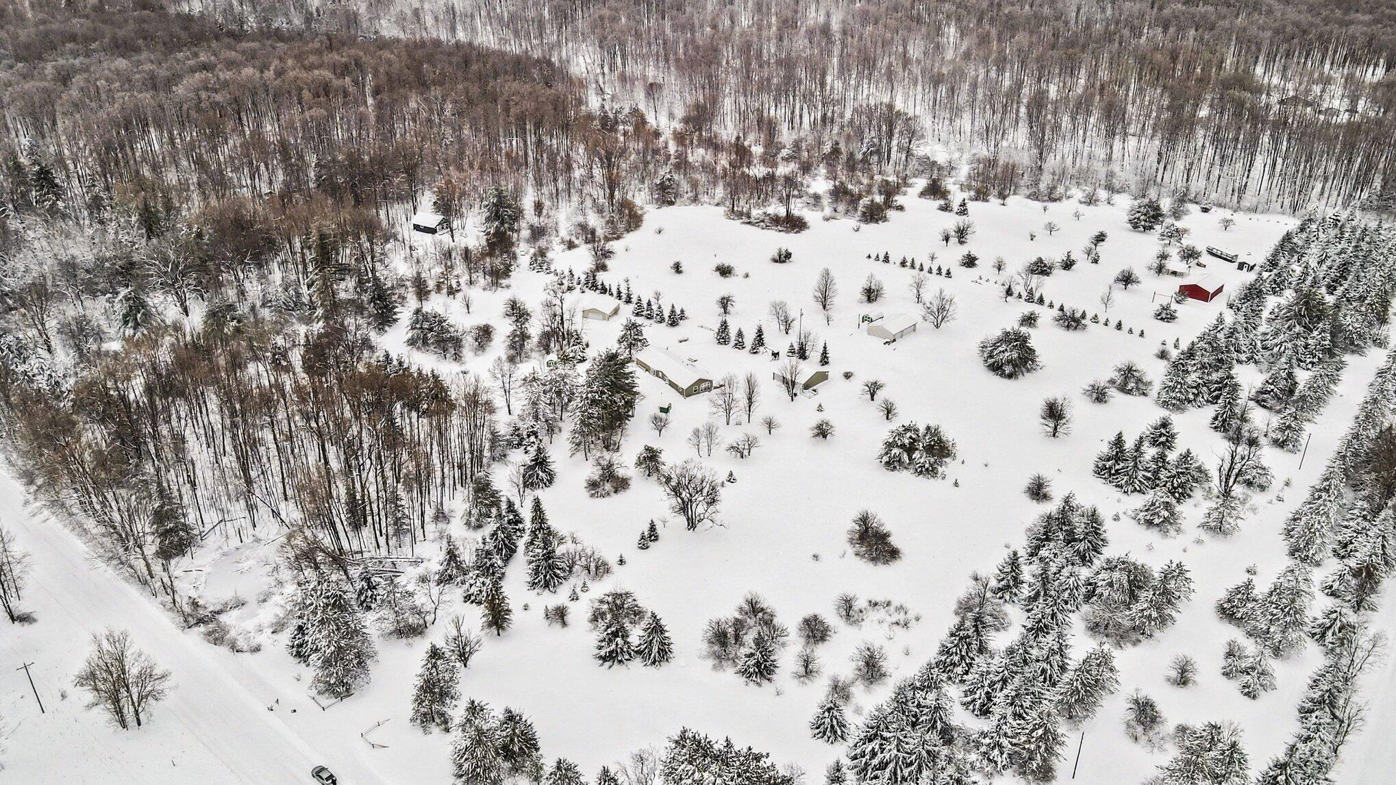 4395 North Raymond Road Luther, MI 49656 - Photo 21 of 22 004_file_2521