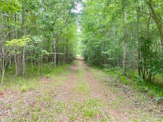 0 Pete Johnson Road Tignall, GA 30668 - Photo 22 of 43
