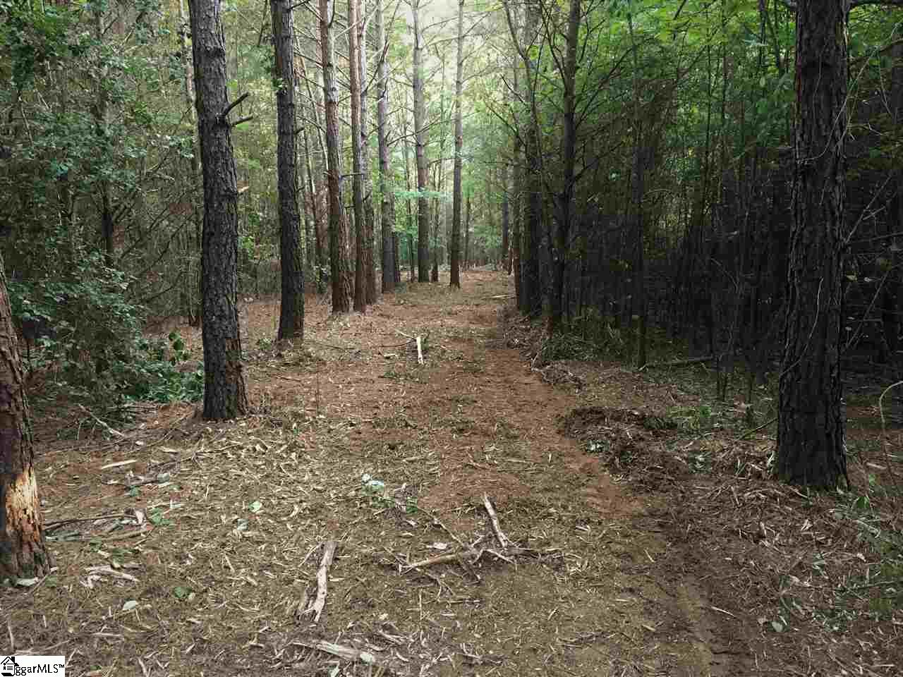 640 Bennetts Bridge Road, Unit TRACT C Greer, SC 29651 - Photo 3 of 7 Gallery Image 3