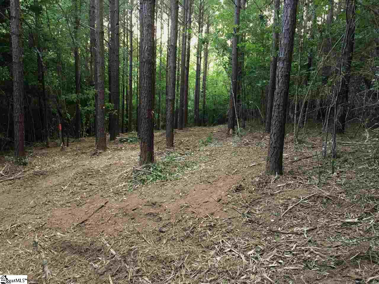640 Bennetts Bridge Road, Unit TRACT C Greer, SC 29651 - Photo 6 of 7 Gallery Image 6